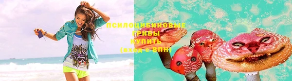 дживик Дмитриев