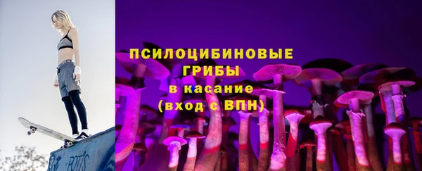 стаф Дмитровск