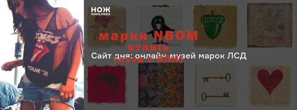 стаф Дмитровск