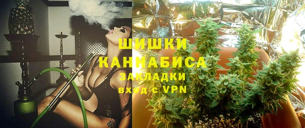 стаф Дмитровск