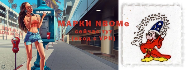 стаф Дмитровск