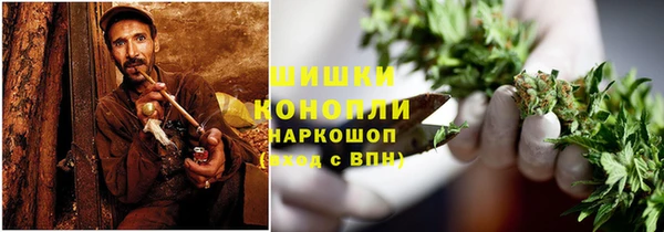 стаф Дмитровск